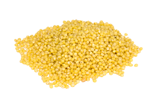 imgProduct